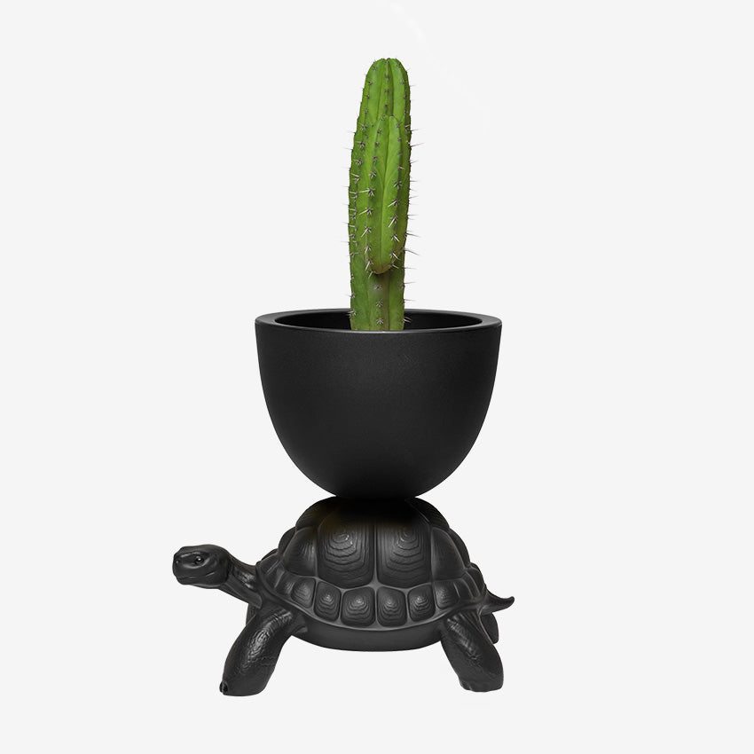 Qeeboo | Turtle Carry Planter and Champagne Cooler