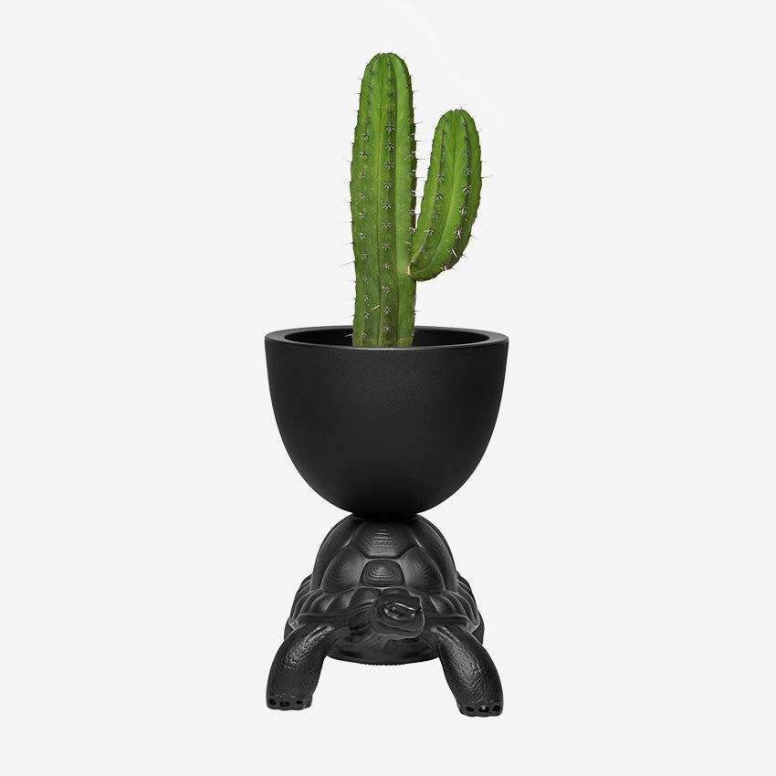 Qeeboo | Turtle Carry Planter and Champagne Cooler