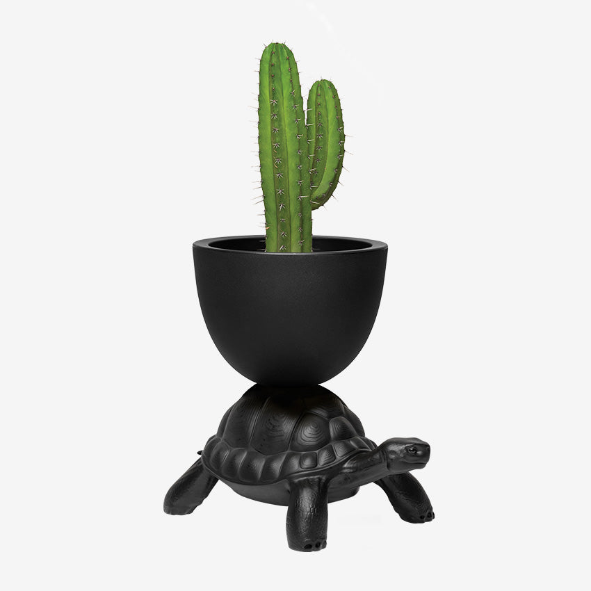 Qeeboo | Turtle Carry Planter and Champagne Cooler