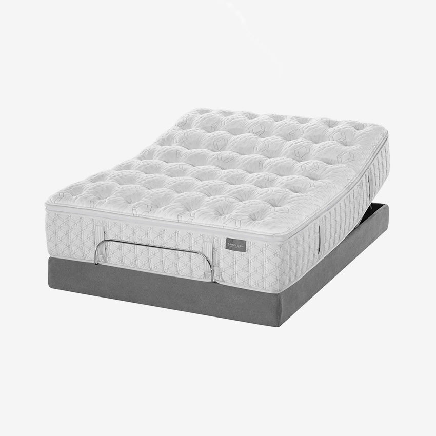 Aireloom | Preferred Collection - Streamline - M1 Plush Mattress