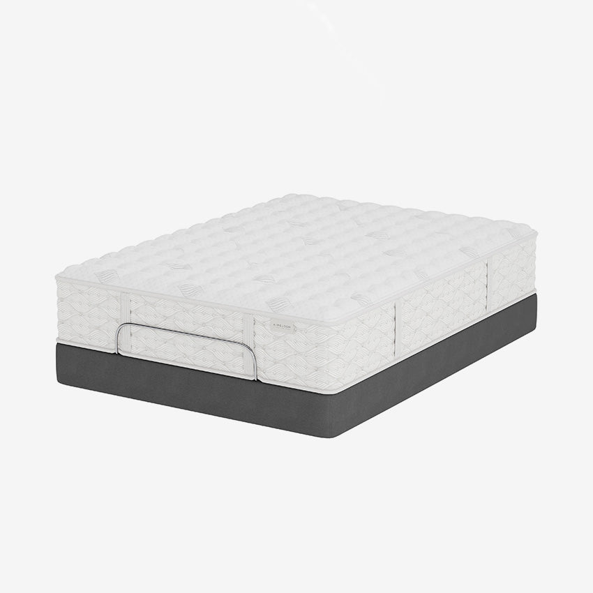 Aireloom | Preferred Collection - Tight Top - Luxury Firm Mattress