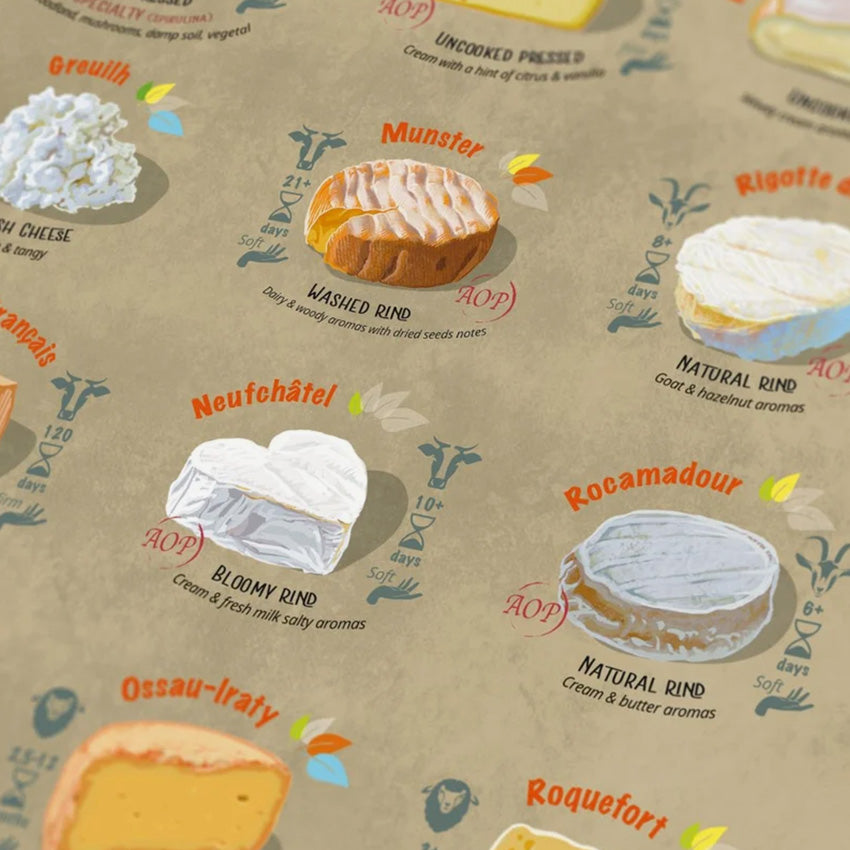 Water & Wines | France Cheese Puzzle