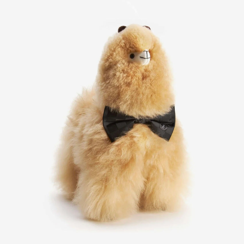 Weich | Paco Alpaca - Medium