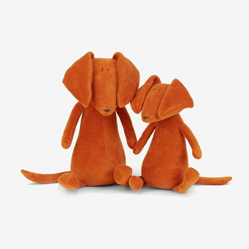 Adada Paris | Scott The Dachshund Teddy