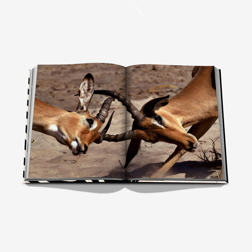 Assouline | African Adventures: The Greatest Safari on Earth