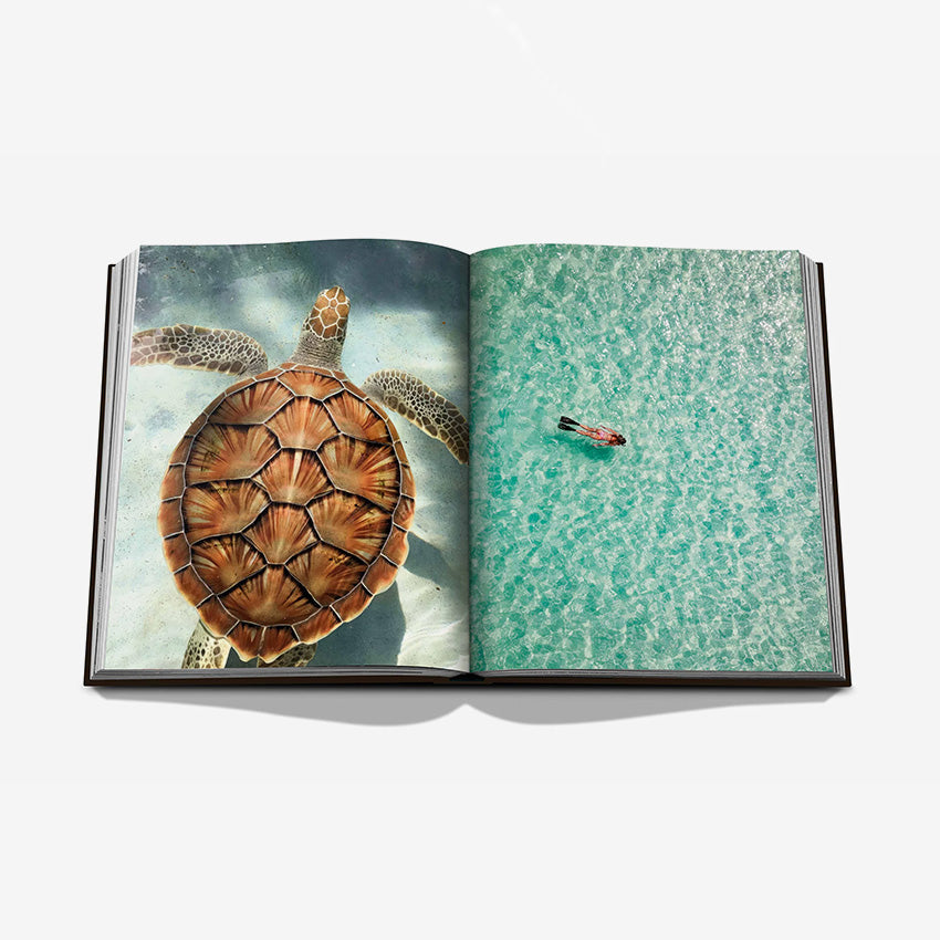 Assouline | Jamaica Vibes