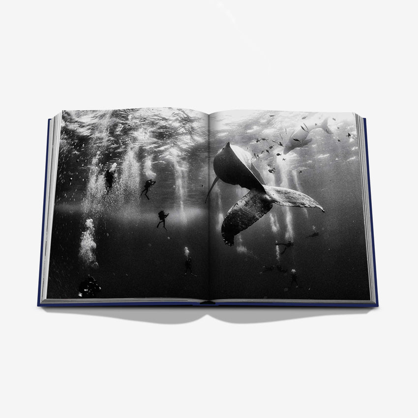 Assouline | Ocean Wanderlust