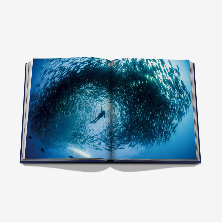 Assouline | Ocean Wanderlust