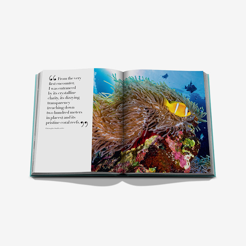 Assouline | Red Sea: The Saudi Coast