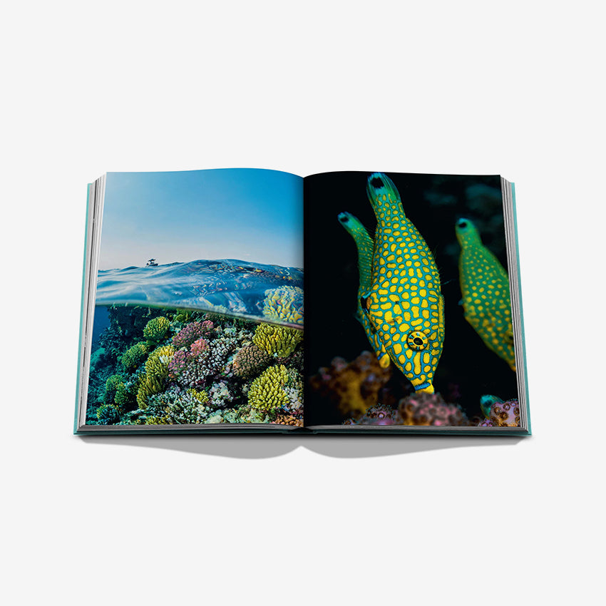 Assouline | Red Sea: The Saudi Coast