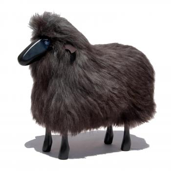 Hanns-Peter Krafft | Sheep
