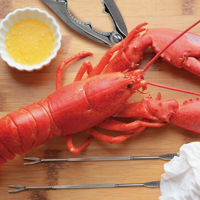 Fox Run | 8 Pc. Set d'outils pour fruits de mer