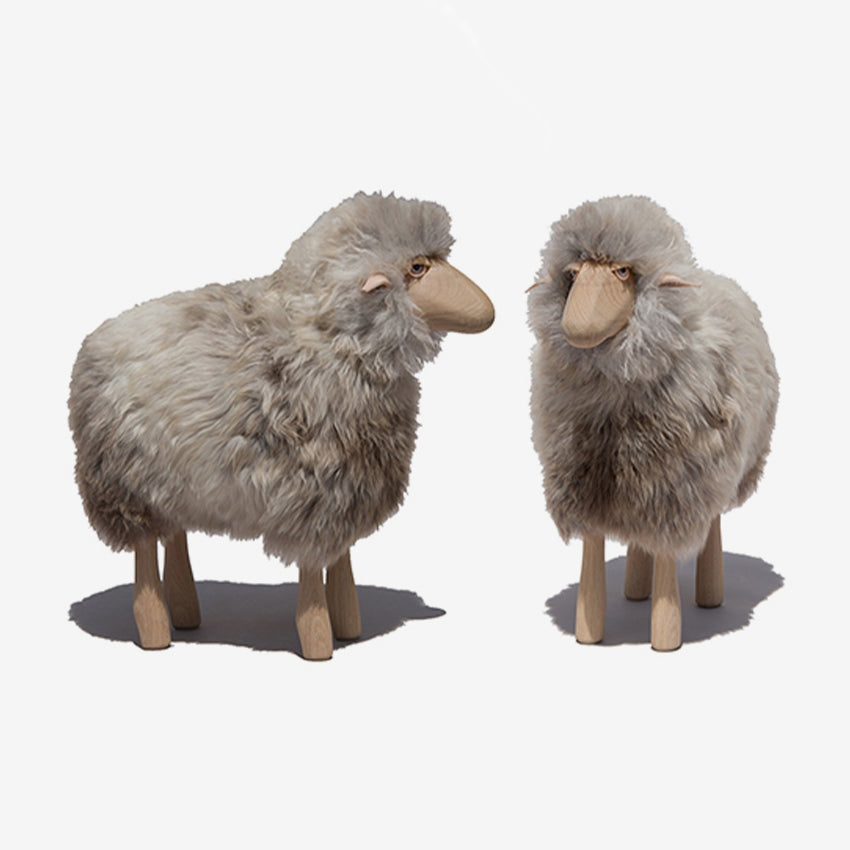 Hanns-Peter Krafft | Lamb, Grey-Brown Fur, Oak