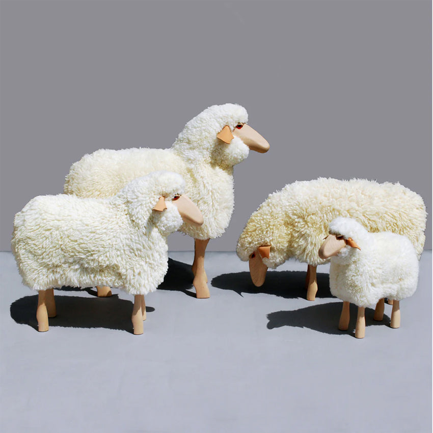 Hanns-Peter Krafft | Sheep