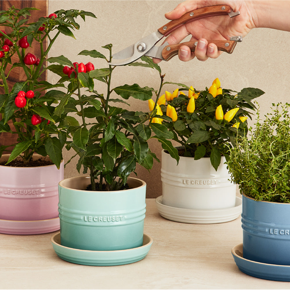 Le Creuset | Planteur d’herbes