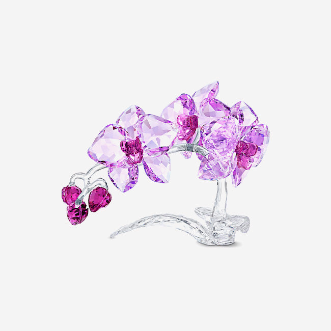 Swarovski | Crystal Flowers Orchid