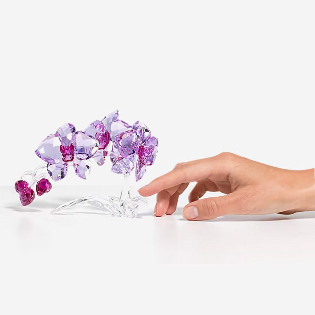 Swarovski | Crystal Flowers Orchid