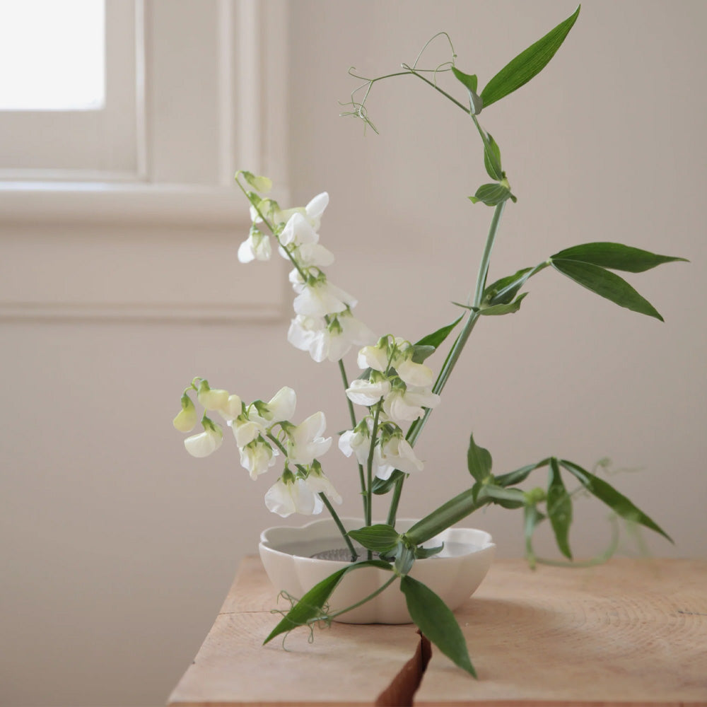 The Floral Society | Ceramic Fleur Dish Matte White