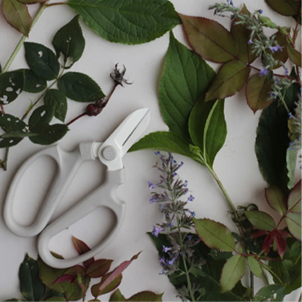 The Floral Society | Floral Clippers