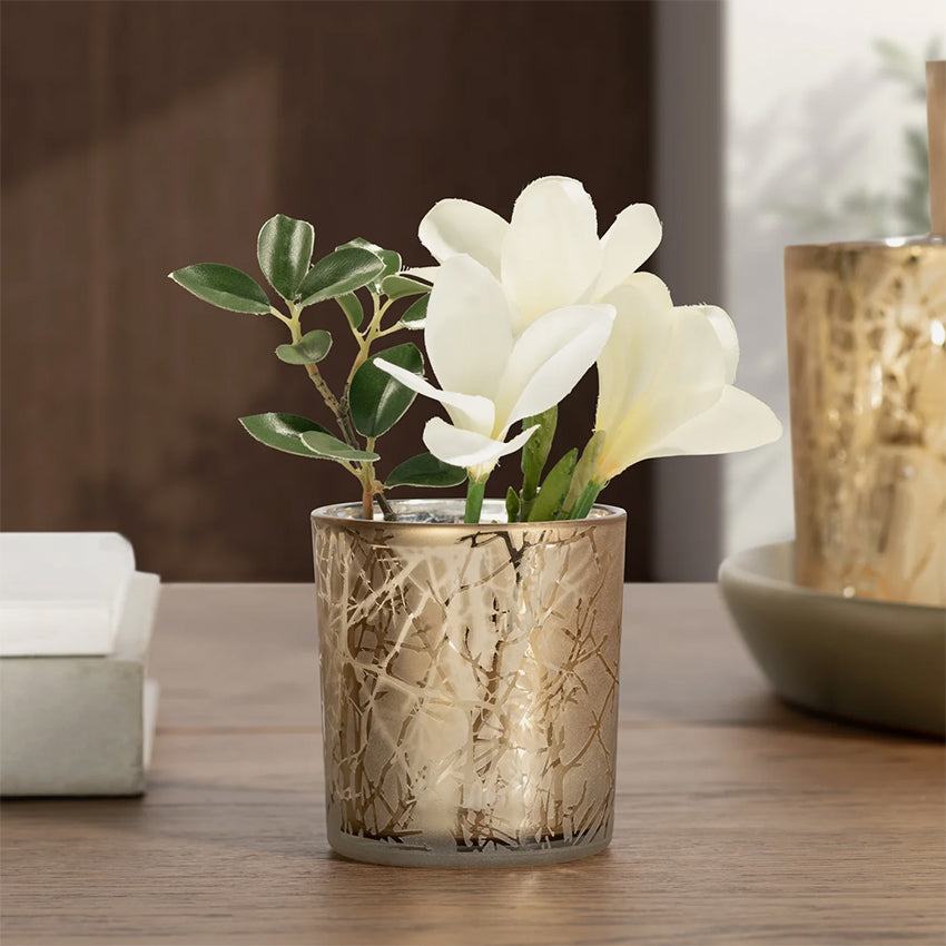 Torre & Tagus | Branch Silhouette Etched Gold Mirror Hurricane Vase