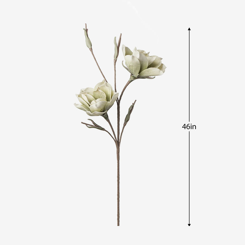 Torre & Tagus | Desert Bloom Vintage Magnolia Set of 2