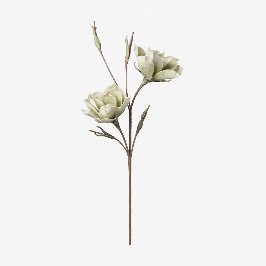 Torre & Tagus | Desert Bloom Vintage Magnolia Set of 2