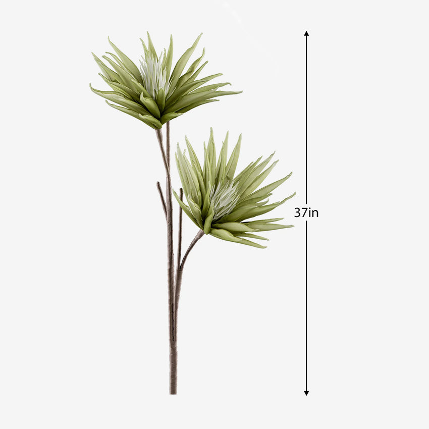 Torre & Tagus | Desert Bloom Cactus Flower Set of 2