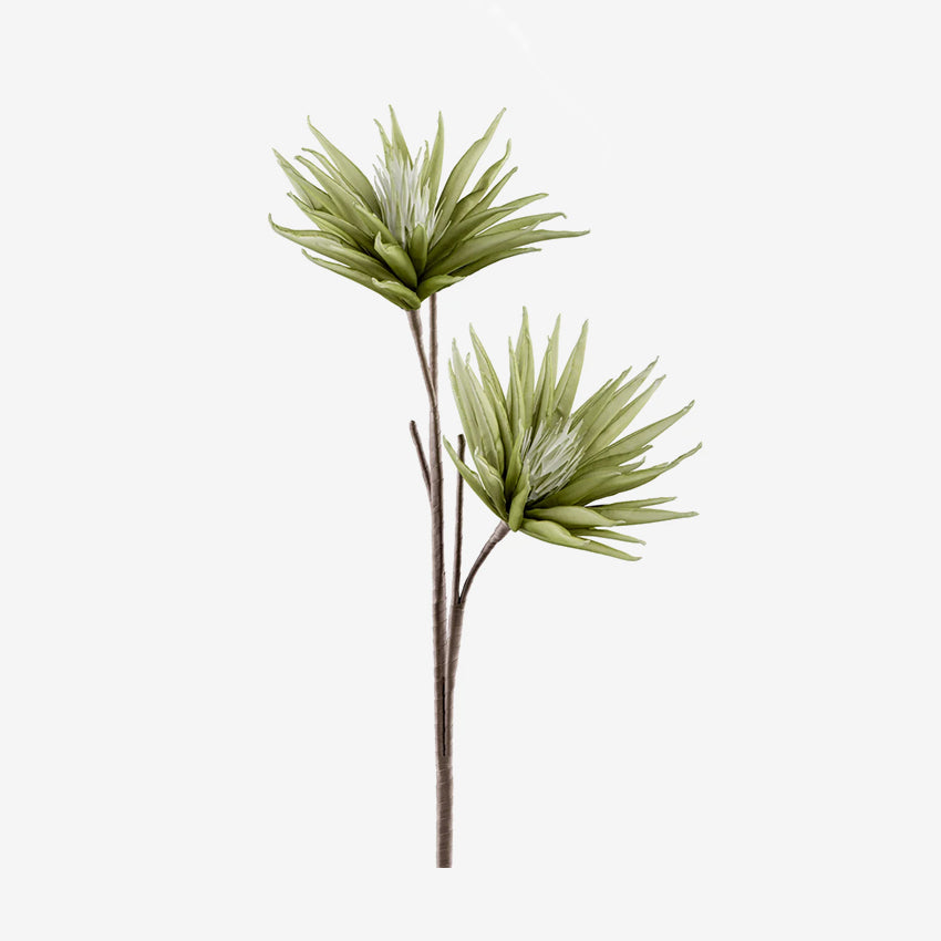 Torre & Tagus | Desert Bloom Cactus Flower Set of 2