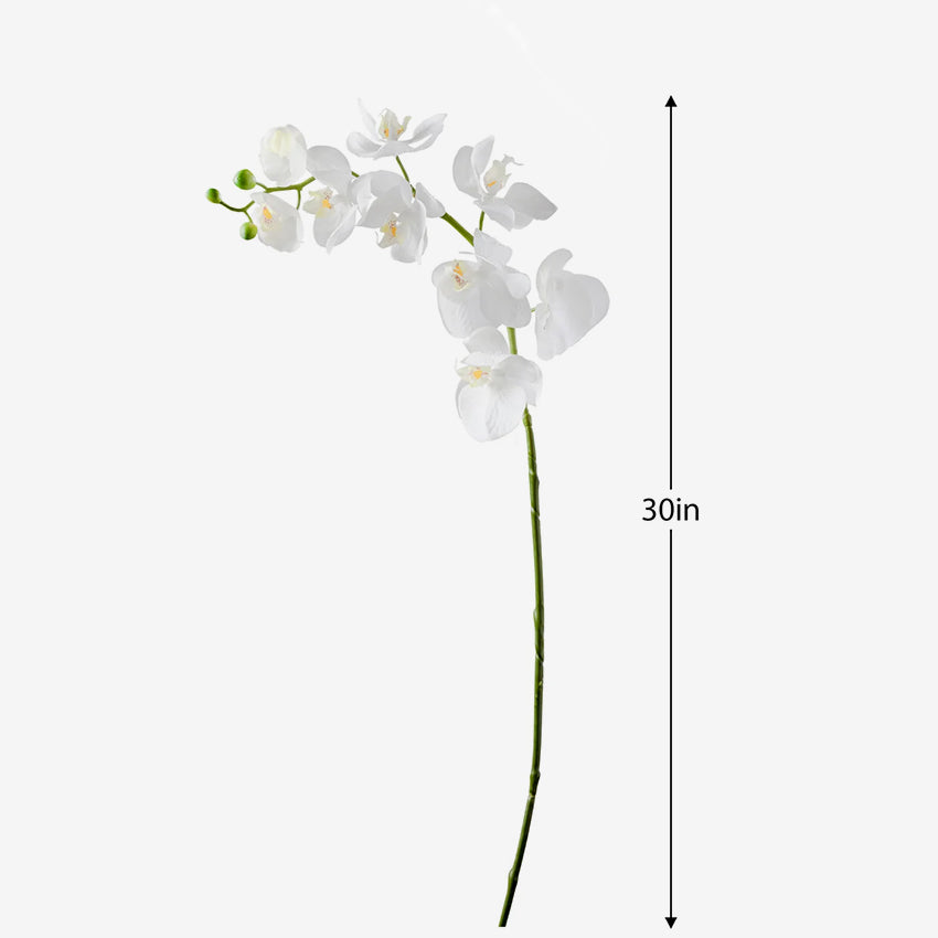 Torre & Tagus | Orchid White Faux Single Stem