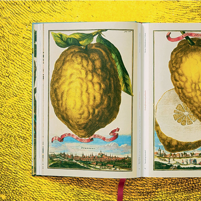 Maison Lipari Volkamer, Citrus Fruit  - Hardcover  TASCHEN.