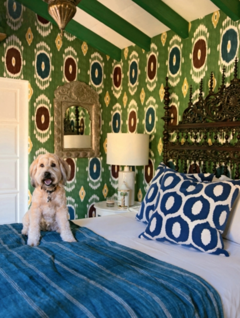 Rizzoli | At Home With Dogs And Their Designers Livre