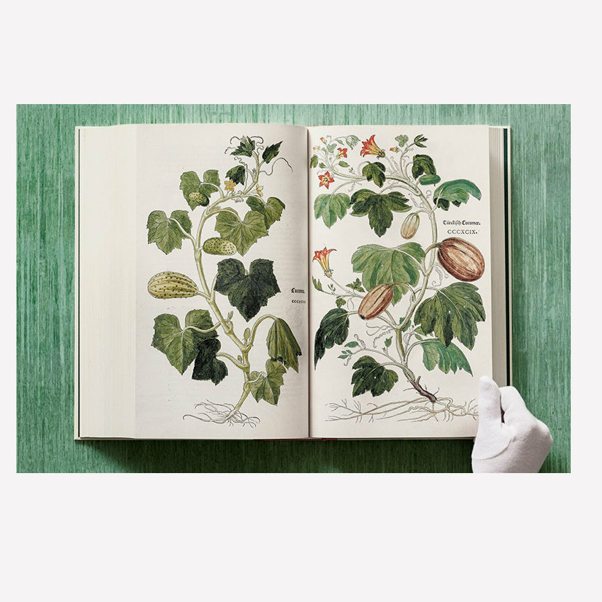 Taschen | Fuchs, Herbs