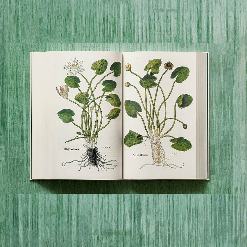 Taschen | Fuchs, Herbs