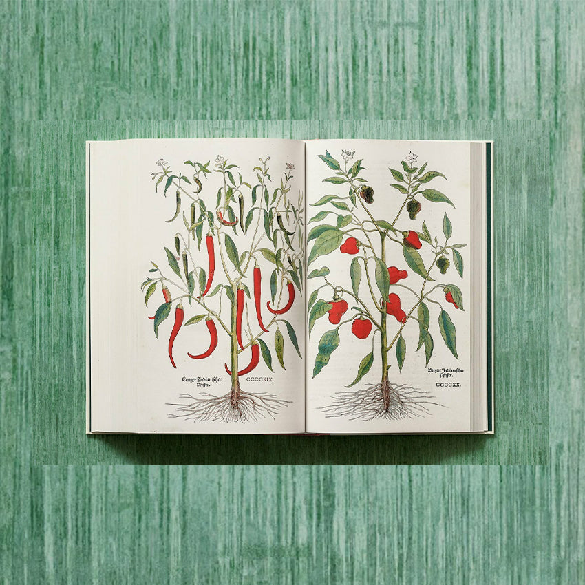 Taschen | Fuchs, Herbs