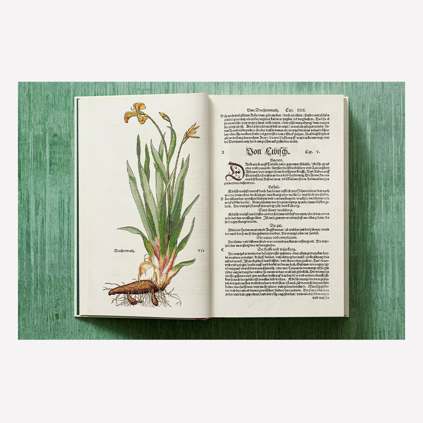 Taschen | Fuchs, Herbs