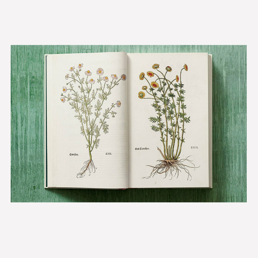 Taschen | Fuchs, Herbs