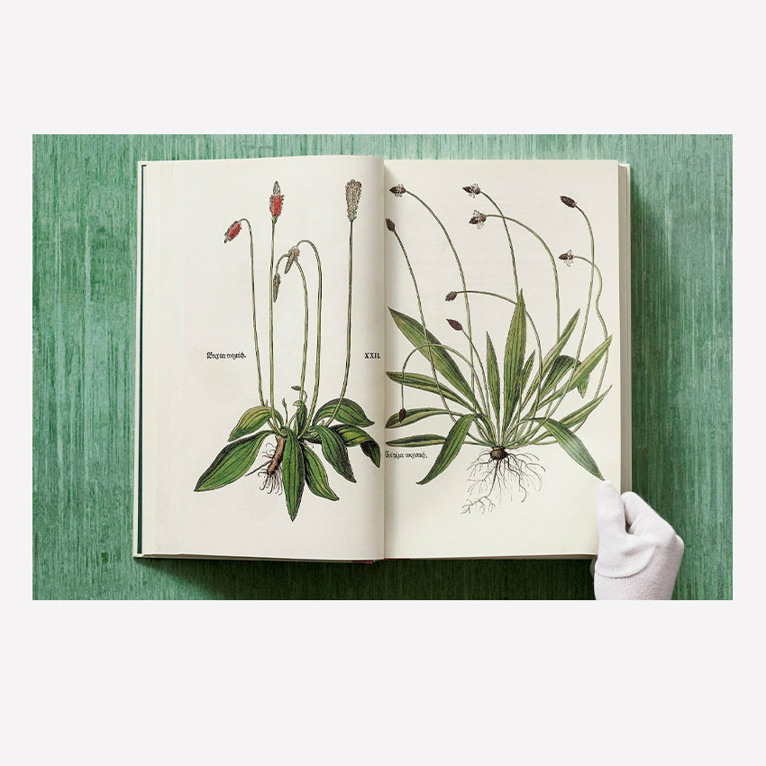 Taschen | Fuchs, Herbs