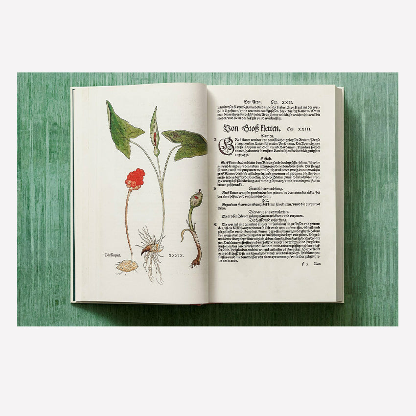 Taschen | Fuchs, Herbs