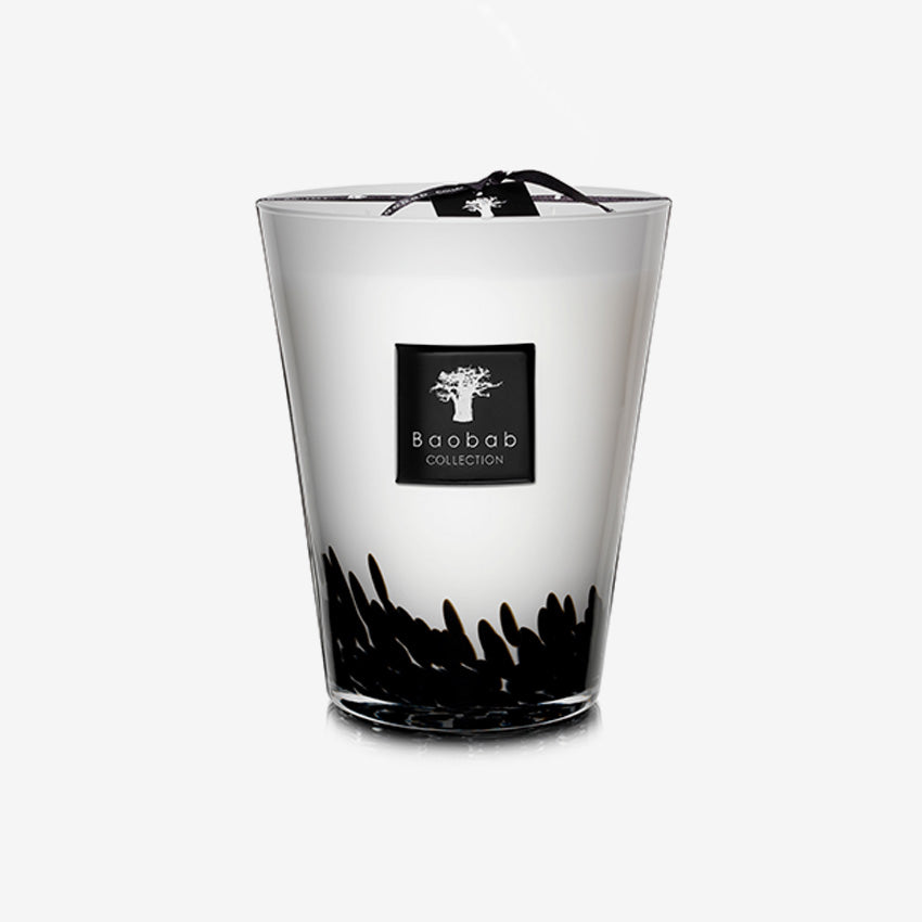 Baobab Collection | Feathers Black Scented Candle