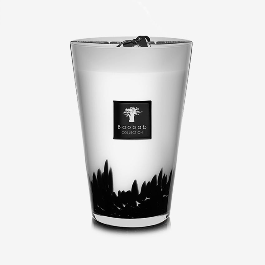 Baobab Collection | Feathers Black Scented Candle