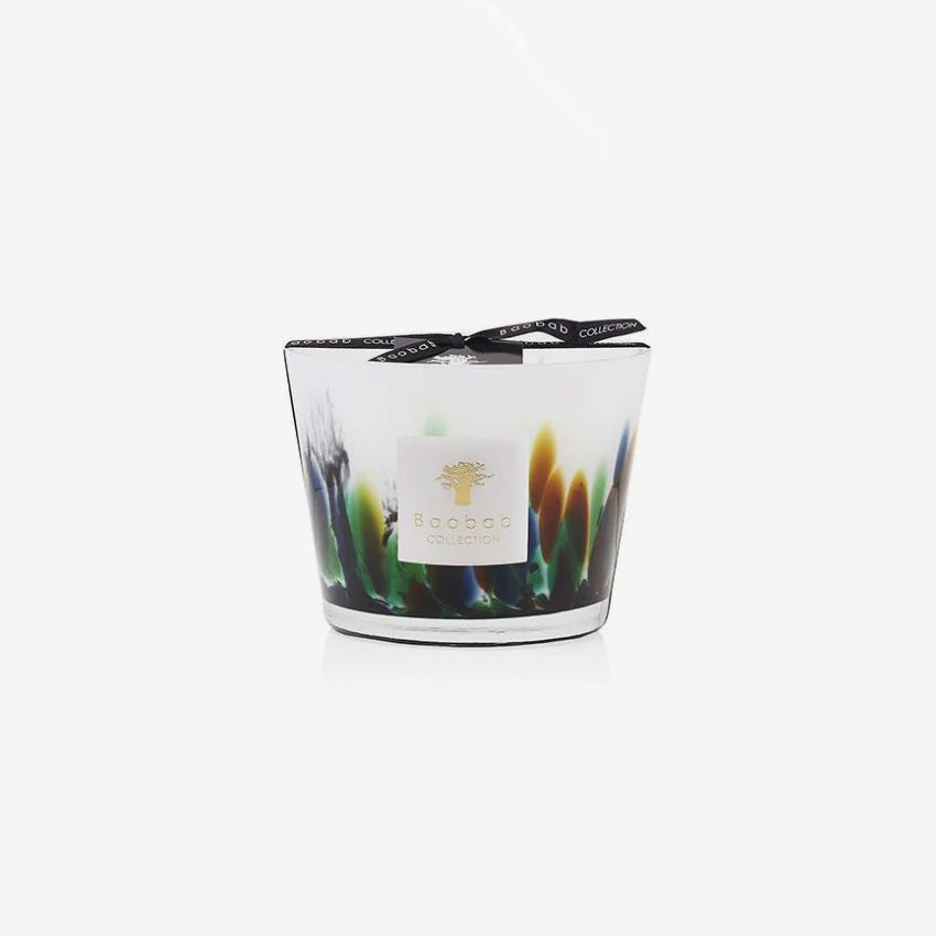 Baobab Collection | Amazonia Scented Candle