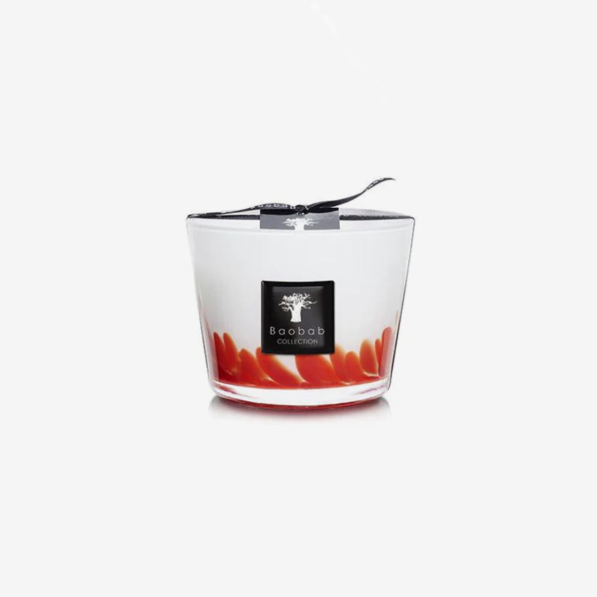 Baobab Collection | Feathers Maasai Scented Candle