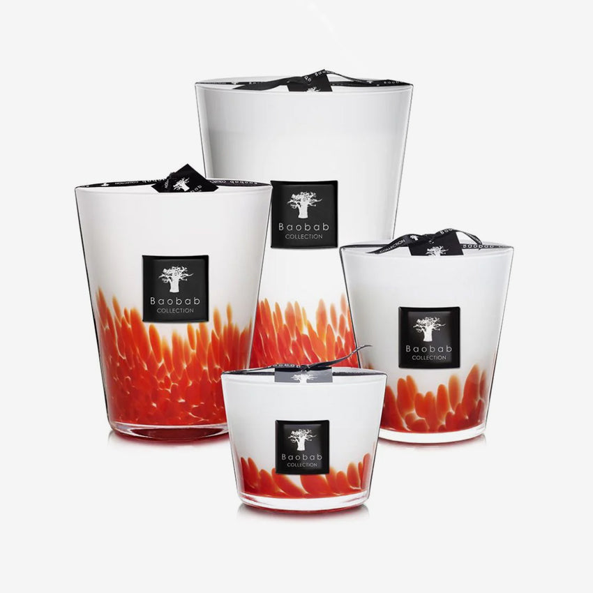 Baobab Collection | Feathers Maasai Scented Candle