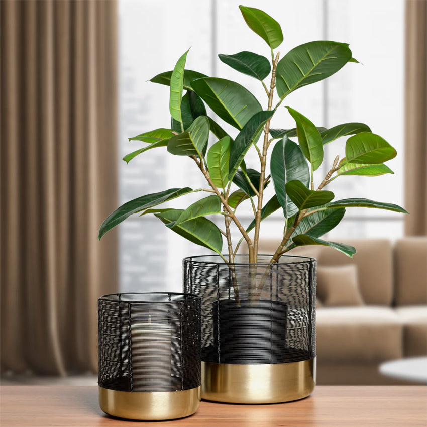 Torre & Tagus | Castello Wire Top 2 Piece Brushed Gold Cylinder Hurricane Sets