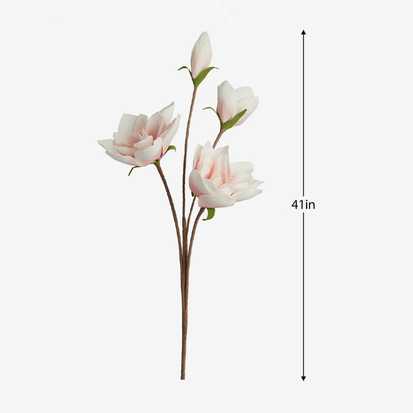 Torre & Tagus | Magnolia à quatre fleurs du désert