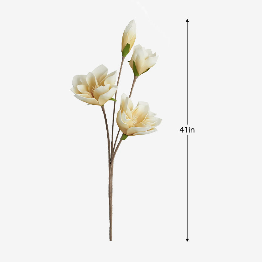 Torre & Tagus | Magnolia à quatre fleurs du désert