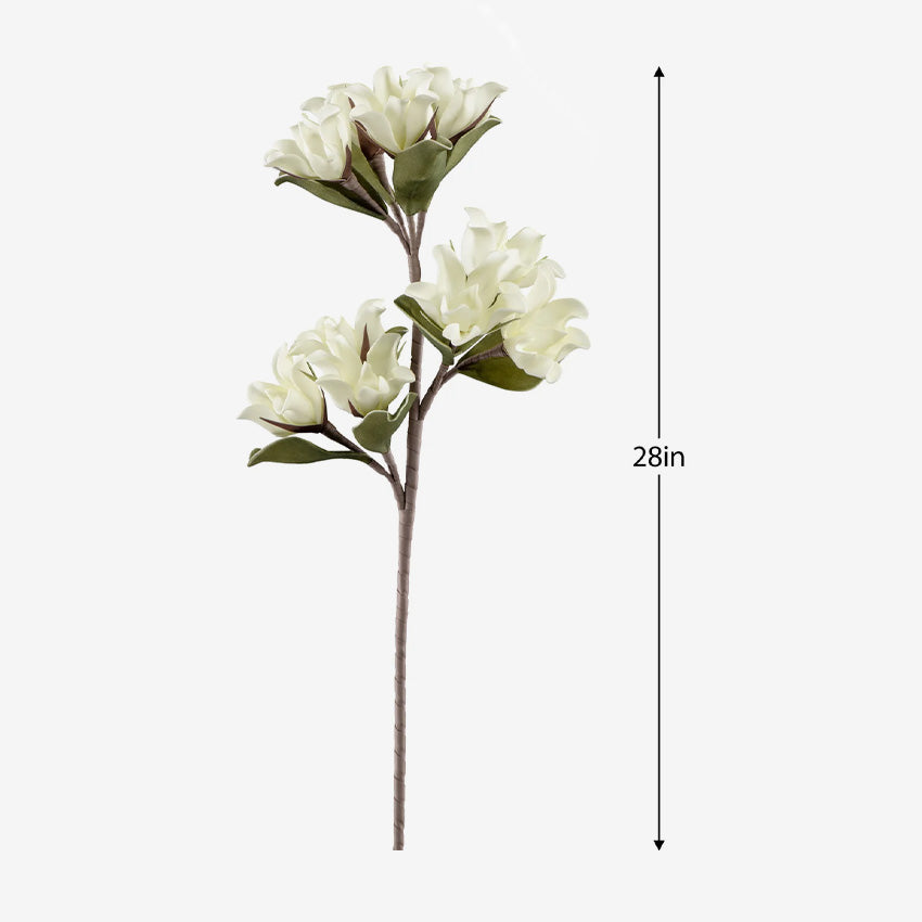 Torre & Tagus | Desert Multi Bloom Plumeria 28" Stem