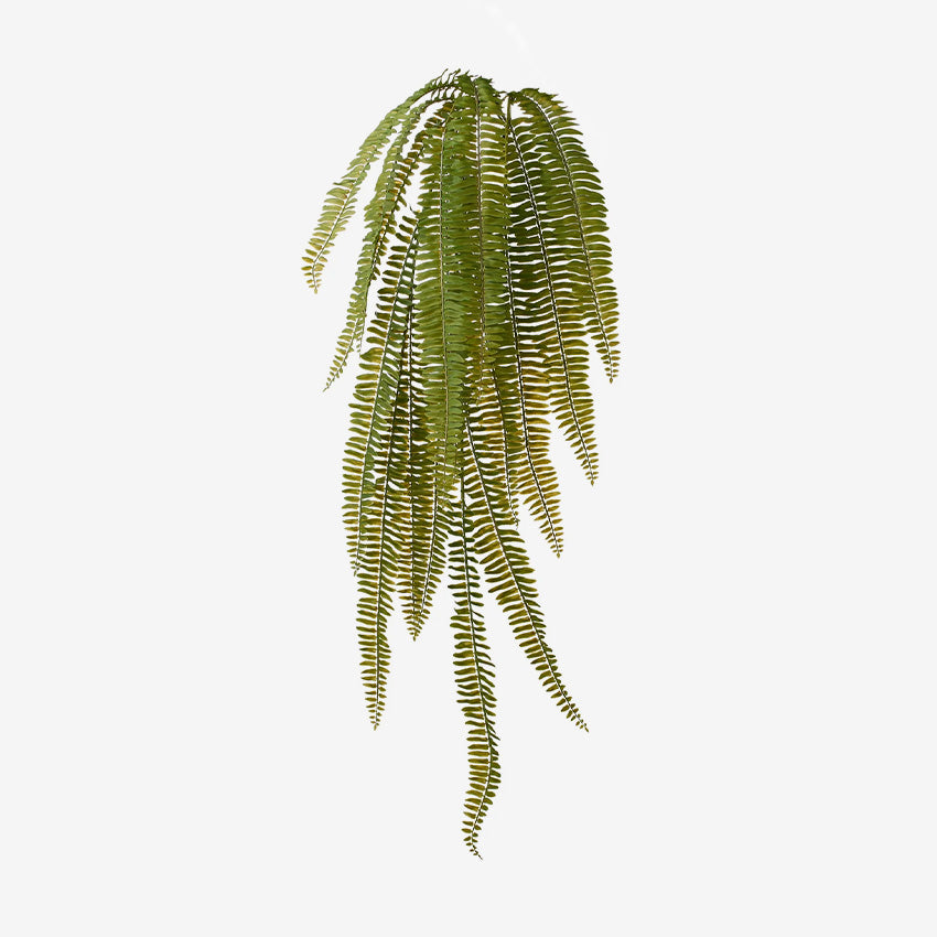 Torre & Tagus | Fern 40" Multi Leaf Spray